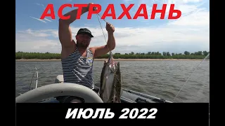 Астрахань/Июль 2022, Копановка 13.07 вода падает, рыба клюёт!