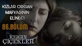 Kızlar kurtulabilecek mi? (Son Sahne) - Kırgın Çiçekler 86.Bölüm