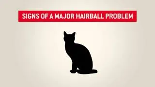 Cat hairballs - Purina