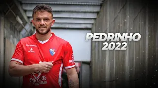 Pedrinho is a Pure Class Player! 2022ᴴᴰ