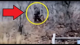 PROVO CANYON BIGFOOT FOOTAGE!! - Terrified Hikers Film Rock Throwing Sasquatch On Camera!!