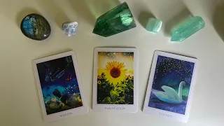 "What You Don't See Coming" *Pick a Card* (Timeless Tarot)