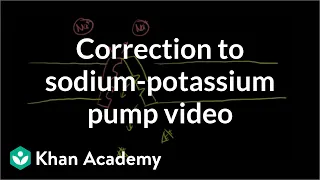 Correction to sodium-potassium pump video | Health & Medicine | Khan Academy