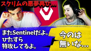 スクリムでひたすら特攻を続けるSentinelsに呆れるハル達【Apex】【日本語字幕】