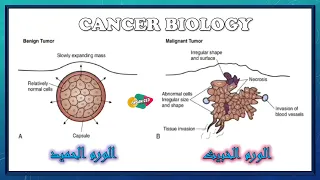 مقدمة فى علم بيولوجيا السرطان - Introduction to cancer biology (بالعربى)