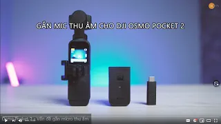 Osmo Pocket 2   Hướng Dẫn Gắn Mic Thu âm Vlog