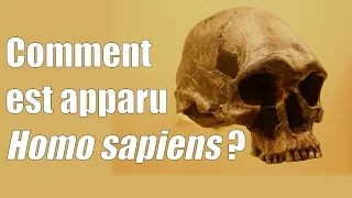 Comment est apparu Homo Sapiens ?