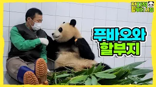 (SUB) Panda Saying Goodbye To Zookeeper Who Has Raised Her For 3 years│Panda Family🐼