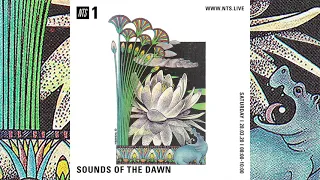 SOTD on NTS 1 #66 [New Age / Ambient / World / Electronic / Synth / Psych / Jazz Music Cassette Mix]