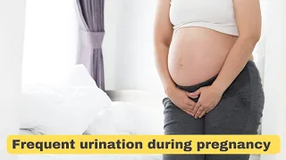 Frequent Urination During Pregnancy: Causes and Coping Strategies