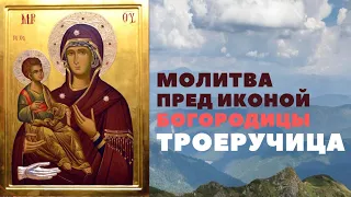 Молитва Богородице пред иконою ее Троеручица