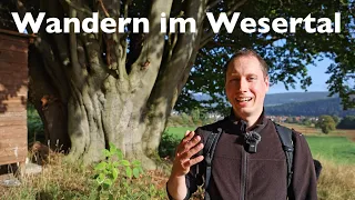 Wandern im Wesertal - alte Bäume bis zum Abwinken