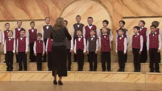 Младший хор мальчиков ДМХШ 'Пионерия'. Дубна 2017