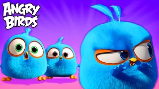 Angry Birds | What Are The Blues Up To?