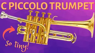 The HIGHEST trumpets ever made? The C Piccolo Trumpet