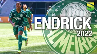 Endrick - Magic Skills & Gols pelo Palmeiras | 2022 HD