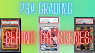 How It Works (PSA Pokemon Grading) Behind the scenes