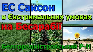 ЕС Саксон в Єкстримальних умовах на Бесарабії. Белгородністровський р-н Шевченко Андрій Миколайович