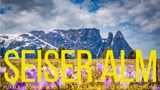 SEISER ALM - PUFLATSCH - Alpe De Suisi, Val Gardena, Dolomiten, Dolomites, Alpen, Italien, Italy