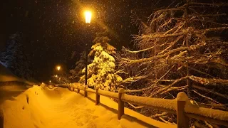 1 Hour of Beautiful Relaxing Snow Falling in a Mountain Village