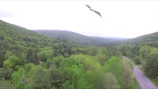 Dragon Sighting Catskill Mountains New York - Video Evidence