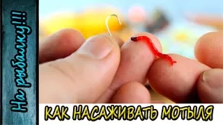 Как насадить мотыля на мормышку для зимней рыбалки,два способа