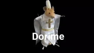Rato Dorime