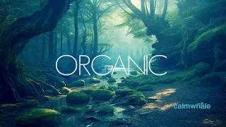 Organic Connection - Peaceful Flow - Shaman Drum - Deep Slow Breathing