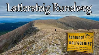 Unterwegs im Wolfsgebiet - Lattersteighöhe - Bretthöhe - Gr. Speikkofel