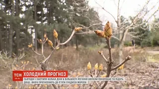 Похолодання та дощі: в Україні різко зміниться погода