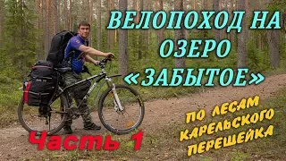 Велопоход по лесам карельского перешейка на озеро 🔹ЗАБЫТОЕ 🔹 часть 1.