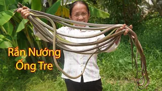 Bà Tân Vlog - Lần Đầu Bắt Ổ Rắn Giáo Nướng Ống Tre Và Cái Kết