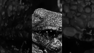 Retro Shorts I The Original Jurassic Park: The Lost World (1925) I Retrospective