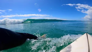 POV SURFING ON THE SUNSHINE COAST | SUMMER IS COMING!