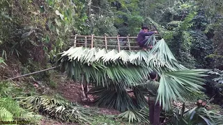 Build a solid shelter, Survival in the Tropical Rainforest - Part 2