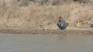 Балық аулауға уақытша тыйым салынады