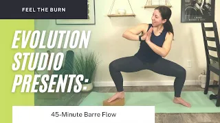 45 MIN BARRE BURN Flow (optional yoga block, weights)