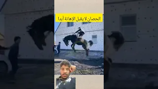 الحصان لايقبل الاهانه ابدا