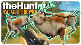 I Have the LUCKIEST Map EVER... | theHunter: Call of the Wild