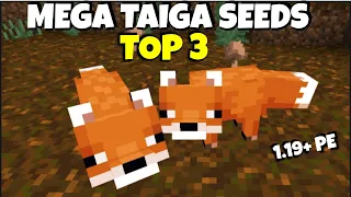 NEW Minecraft MEGA TAIGA SEEDS FOR MINECRAFT BEDROCK 1.20! (Taiga Village, Pillager Outpost..)