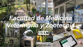 Aquí estudio Medicina Veterinaria 🤩 👩🏻‍⚕️ tour por mi facultad y clases online VLOG