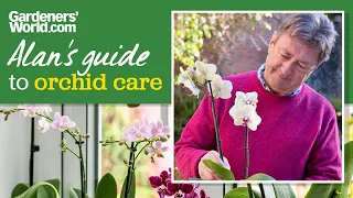 Looking after orchids