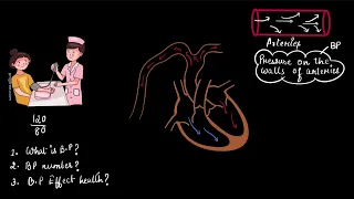 High blood pressure | Body fluids and circulation | Biology | Khan Academy