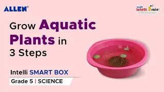 ALLEN Intelli SMART Box| Grow aquatic plants at Home| DIY Activity| Science Activity Kit for Grade 5
