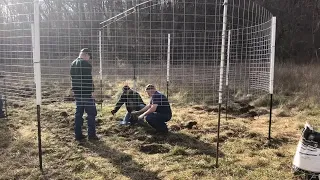 Wild hog trap in Missouri