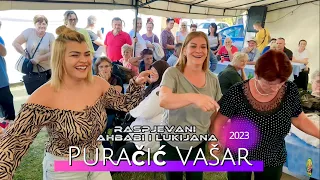 Gori pod šatorom | Vašar Puračić 2023 | Raspjevani Ahbabi i Lukijana