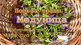 Медуница - полезная и вкусная трава(цветок)! | Собираю медуницу в лесу | Варю суп и рагу из медуницы