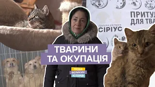 Як притулок «Сіріус» пережив окупацію. УКР/ENG