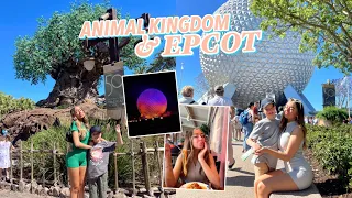 Animal Kingdom & Epcot! Disney World Episode 2!