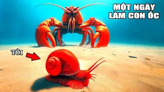 THỬ THÁCH Một Ngày LÀM CON ỐC MẠNH NHẤT THẾ GIỚI | Another Crab Treasure